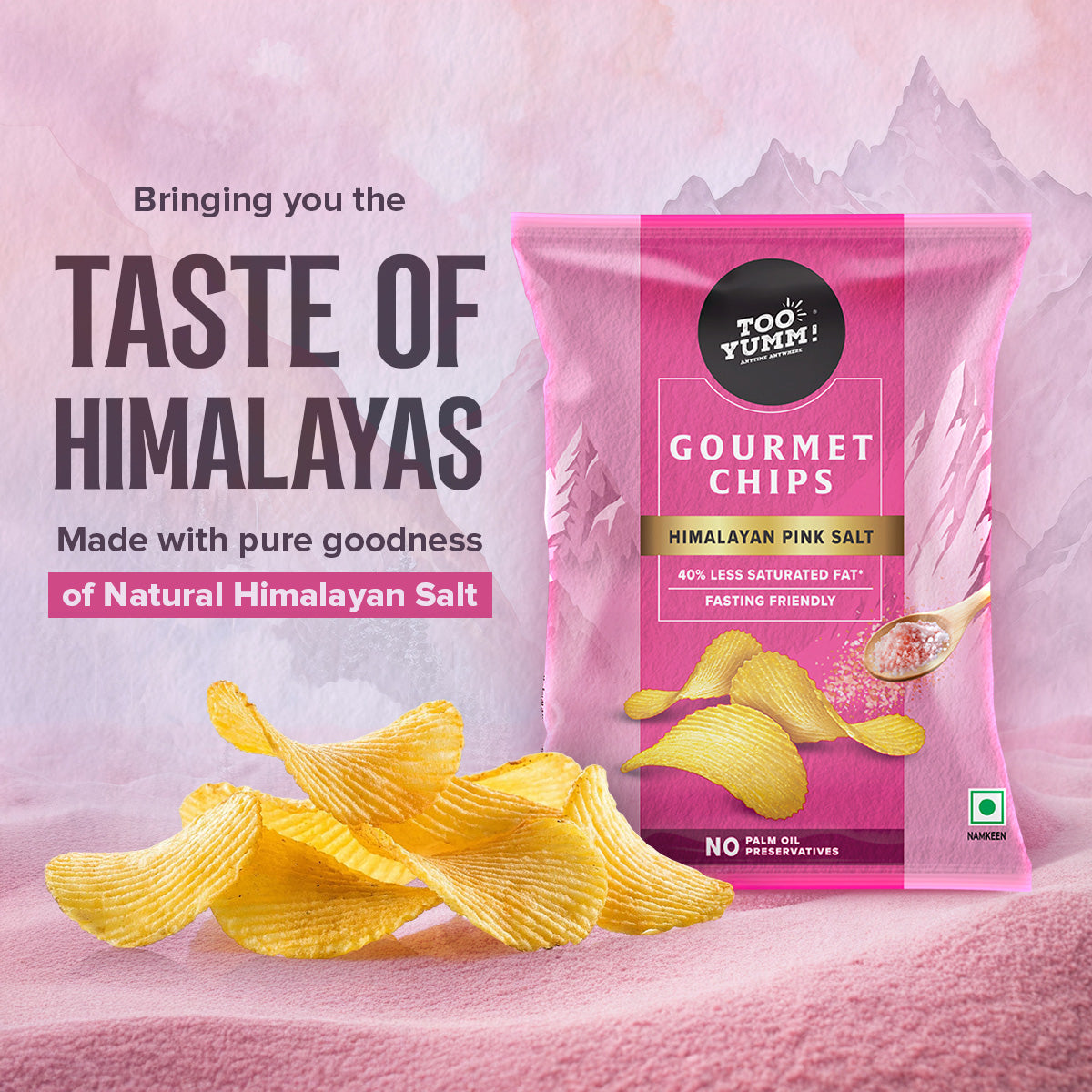 Himalayan Pink Salt Gourmet Chips