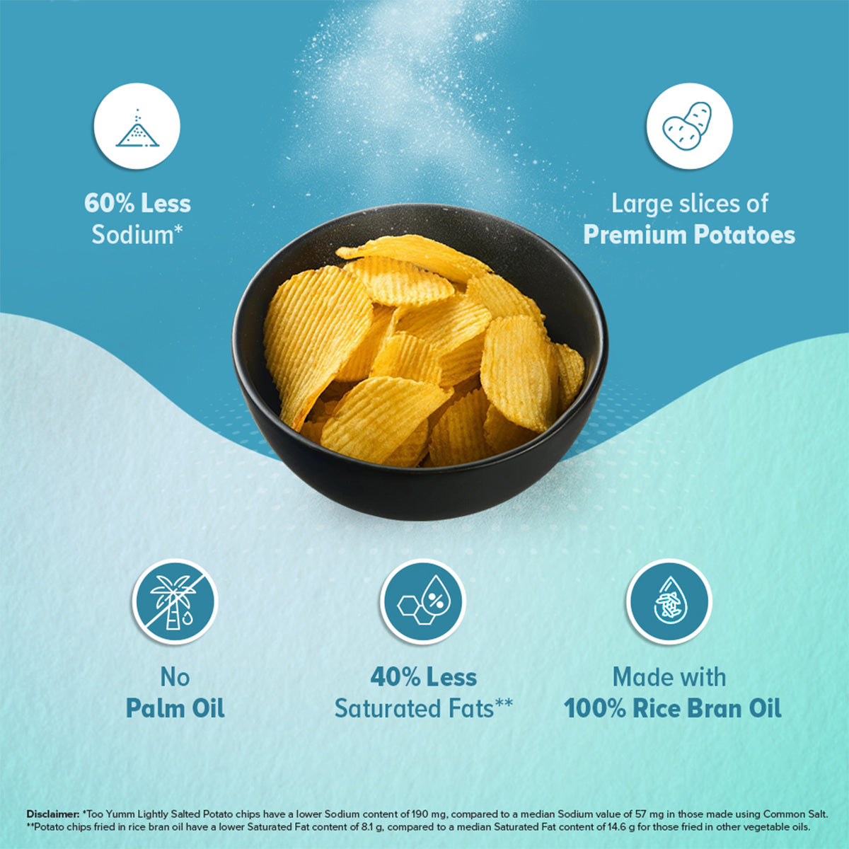 Lightly Salted Gourmet Chips