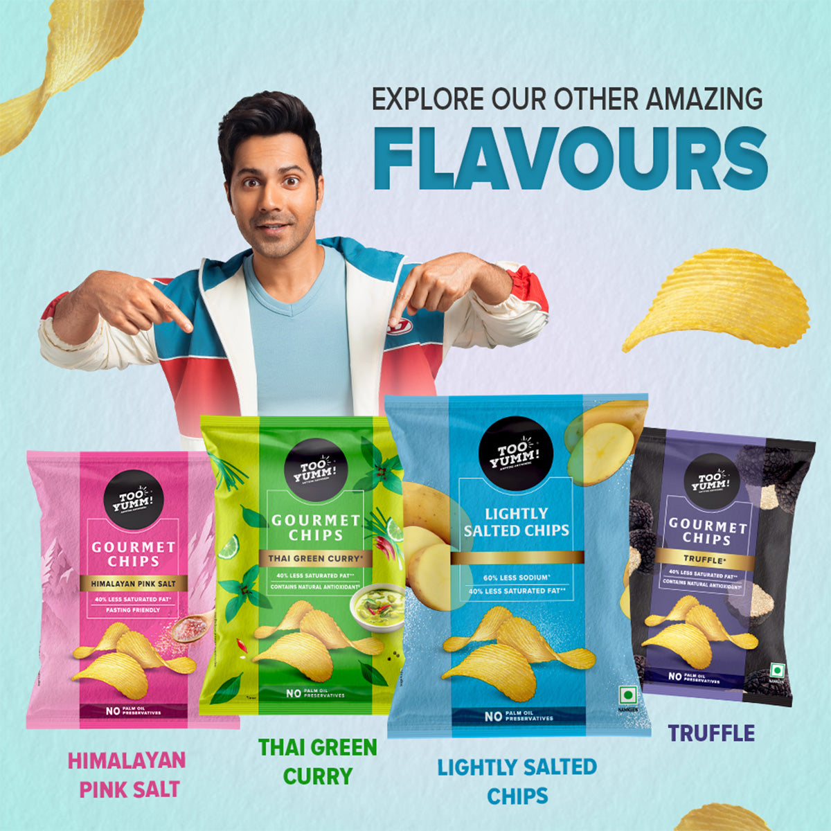 Lightly Salted Gourmet Chips