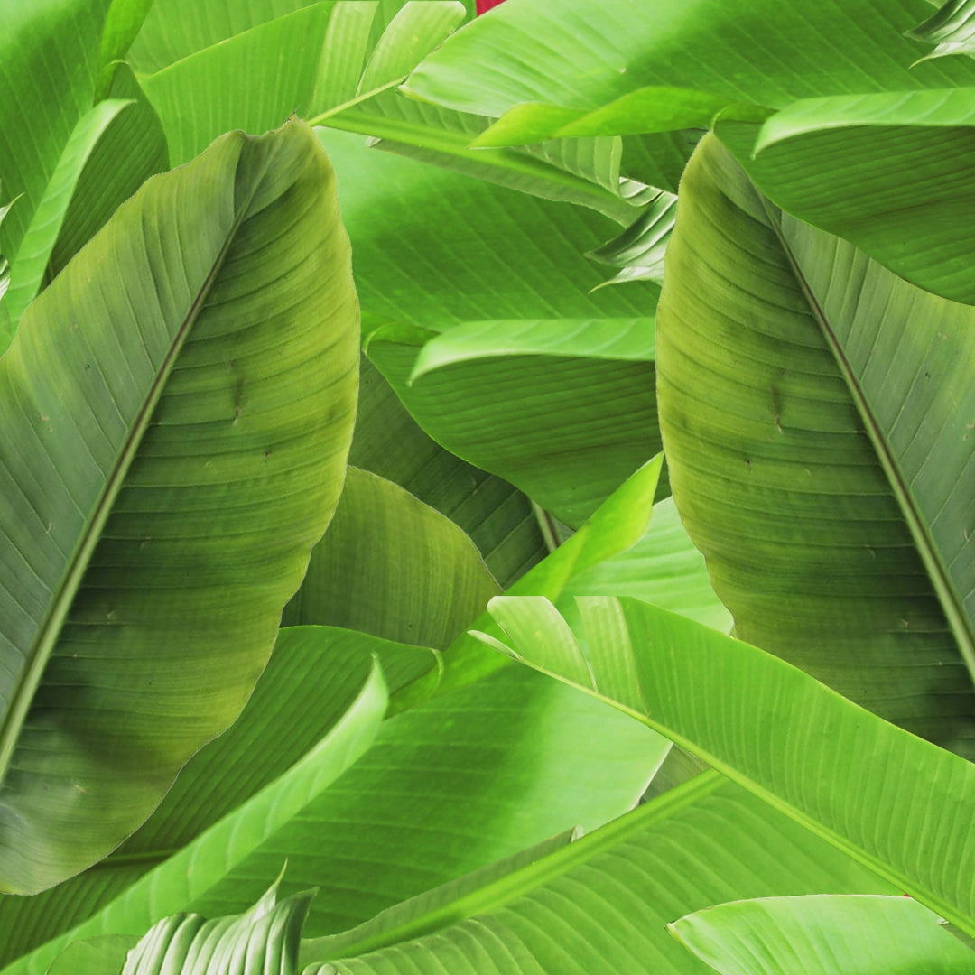 Banana Chips Spicy Korean